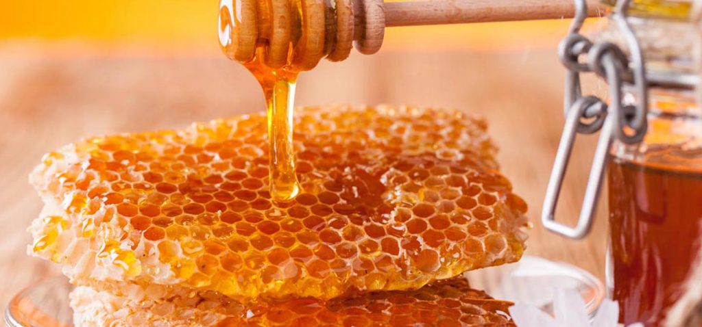 عسل تغذیه و گون کوهی ..گشنیز