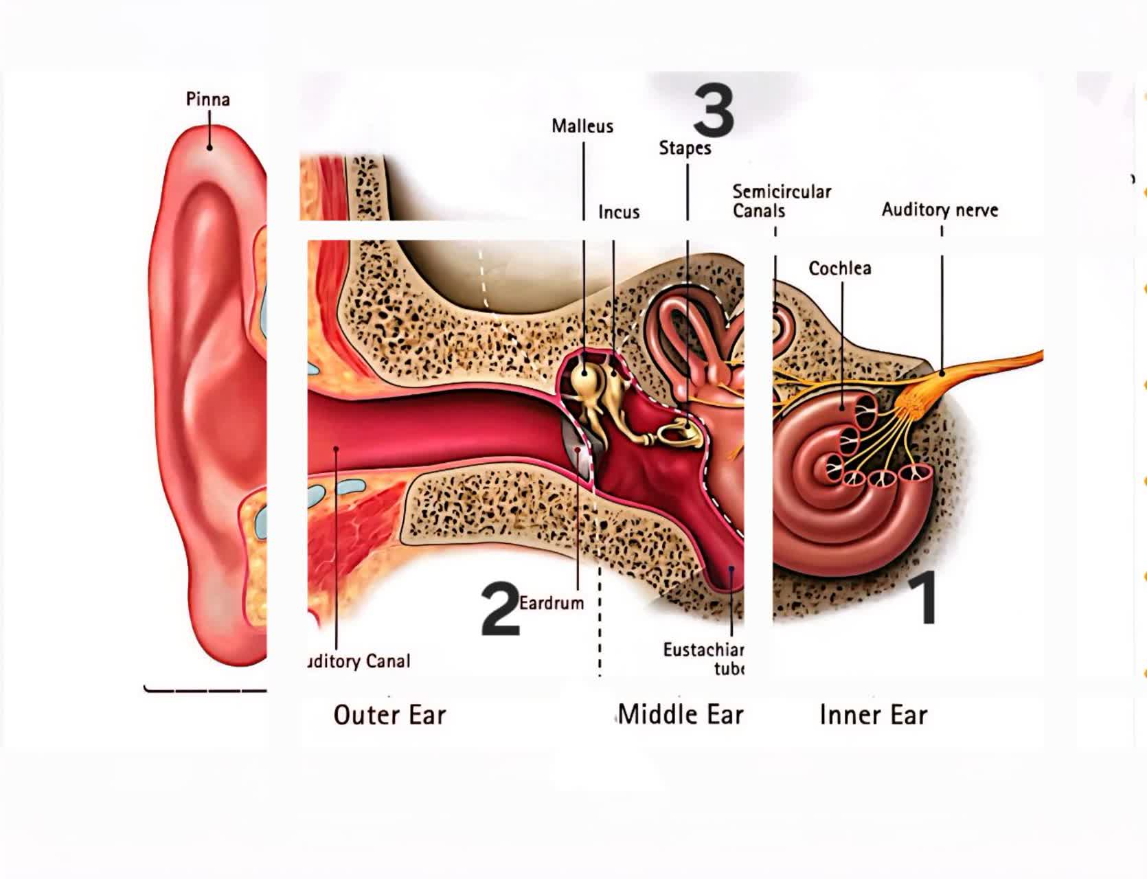 سمعک در اصفهان