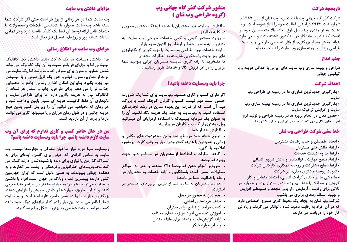 طراحی سایت و برنامه نویسی سفارشی گروه وب تنان
